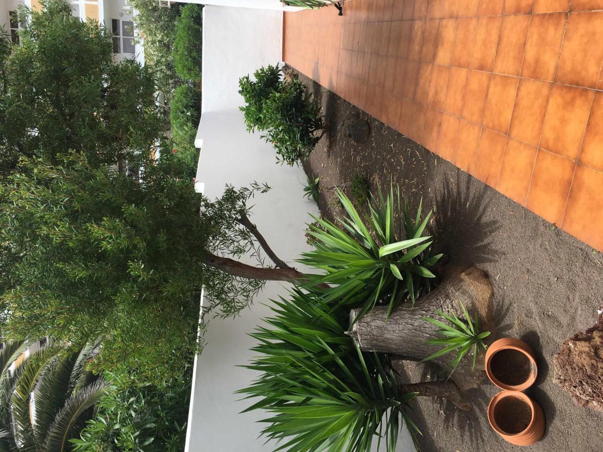 Apartamento con jardín y piscina B Puerto de la Cruz  Exterior foto